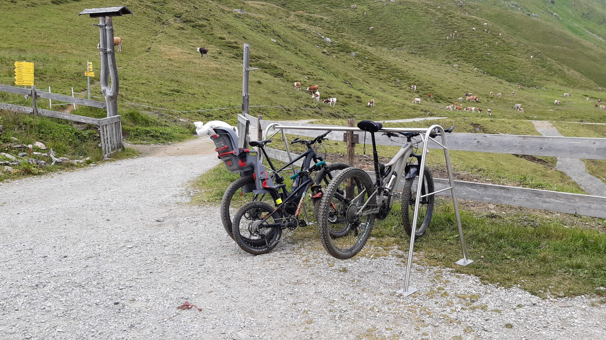 2023_Arbeitseinsatz_3_Fahrradstaender
